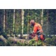 Profesjonalna pilarka Husqvarna 560 XP® Mark II