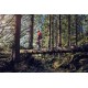 Pilarka spalinowa Husqvarna  572 XP®